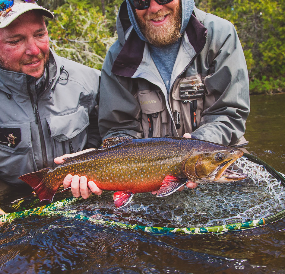 FISHING AND HUNTING GEAR (IF APPLICABLE)