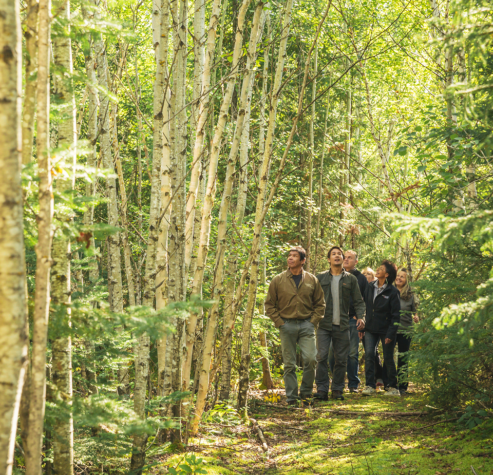 ACTIVITIES FOR CORPORATE GROUPS