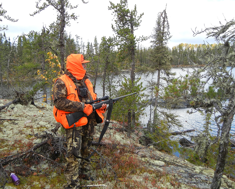 LICENCES AND TAGS
