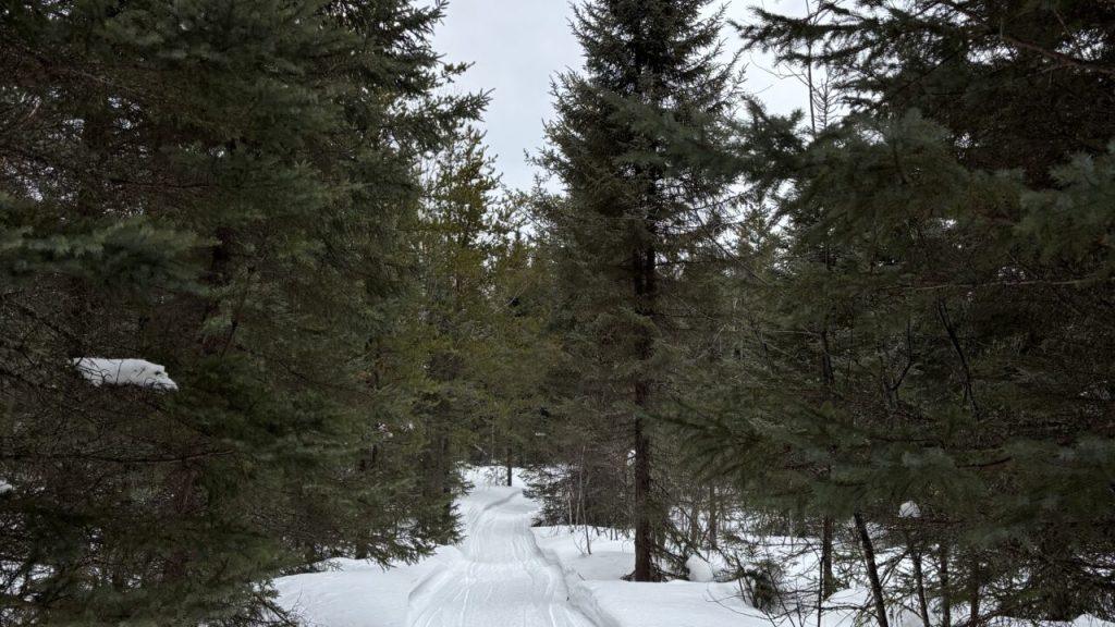 The Wonder Of Winter
