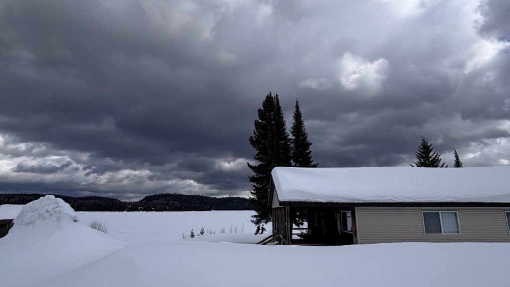 It&#8217;s Been A Real Winter